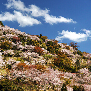 花立公園