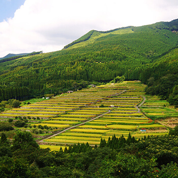 坂元棚田