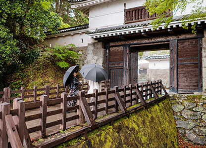 雨の中、歴史ある飫肥城で自然美を堪能。